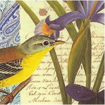 Yellow and Purple Bird and Iris Collage Print Paper ~ Rossi Italy